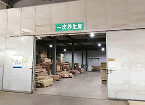 优发国际|随优而动一触即发