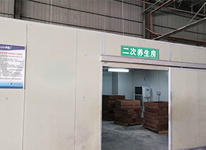 优发国际|随优而动一触即发